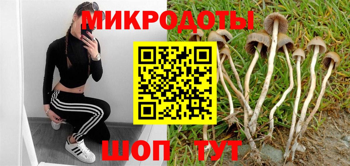 Сорочинск  Галлюциногенные грибы Psilocybine cubensis  Вход с VPN 